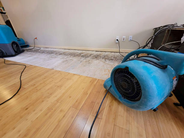 Professional Burst Pipe Water Damage technician working in Cushing, ME